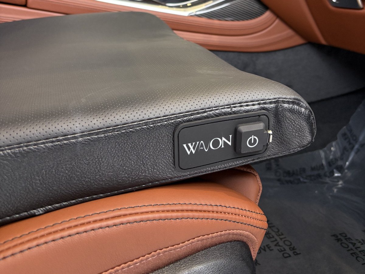 Classic Black: Wavon on the driver's seat of a BMW [Car seat]